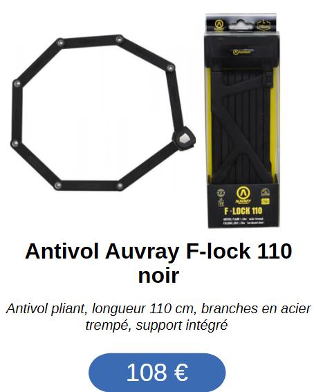 auvray_flock